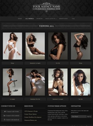 TheAgency WordPress Theme