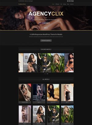 AgencyClix WordPress Theme
