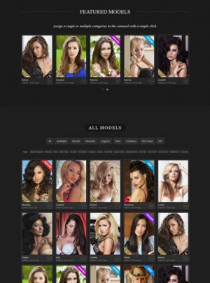AgencyBlax Agency Theme